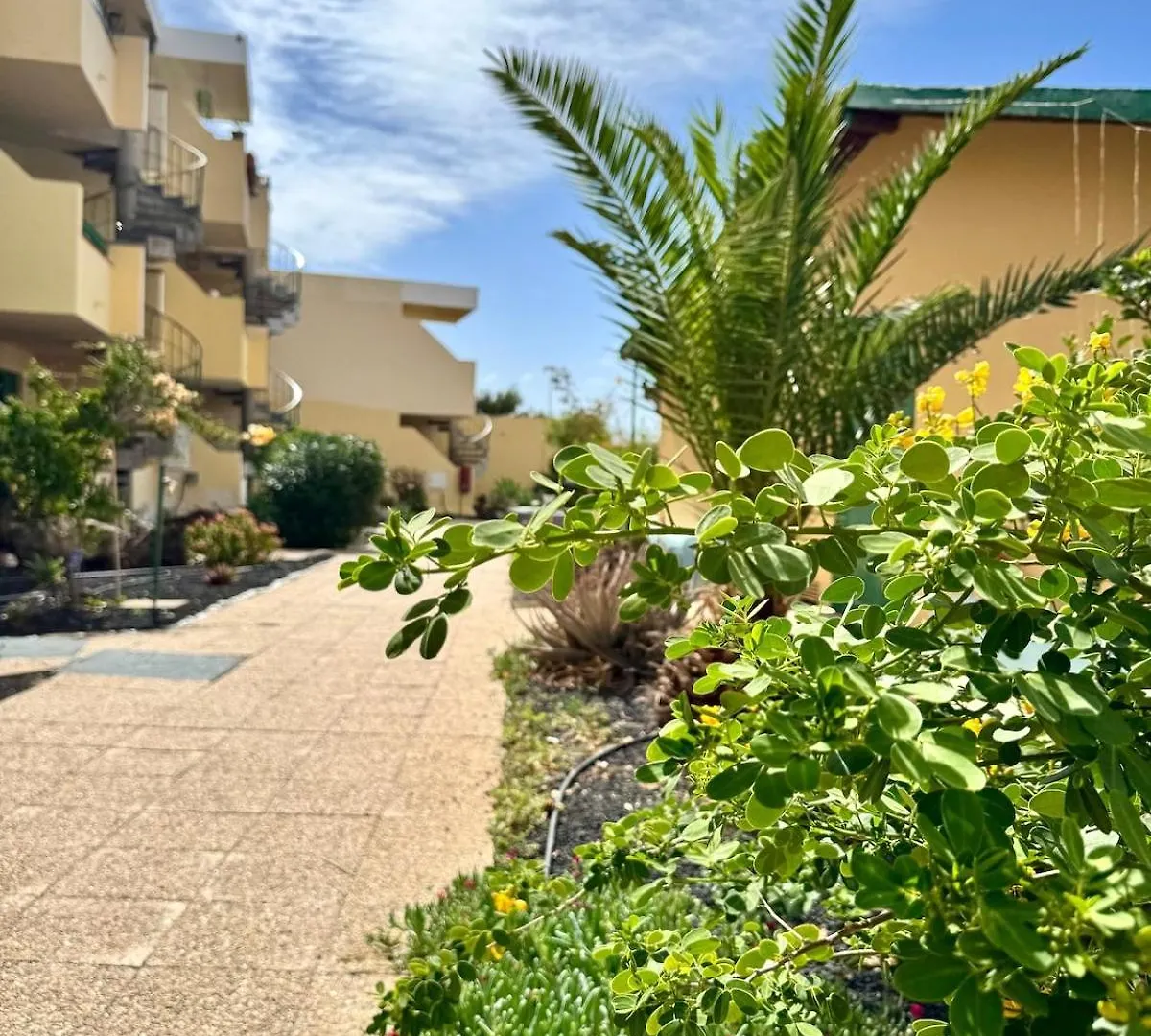La Casita De Aiko E Yuki Appartement Costa De Antigua